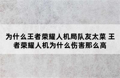 为什么王者荣耀人机局队友太菜 王者荣耀人机为什么伤害那么高